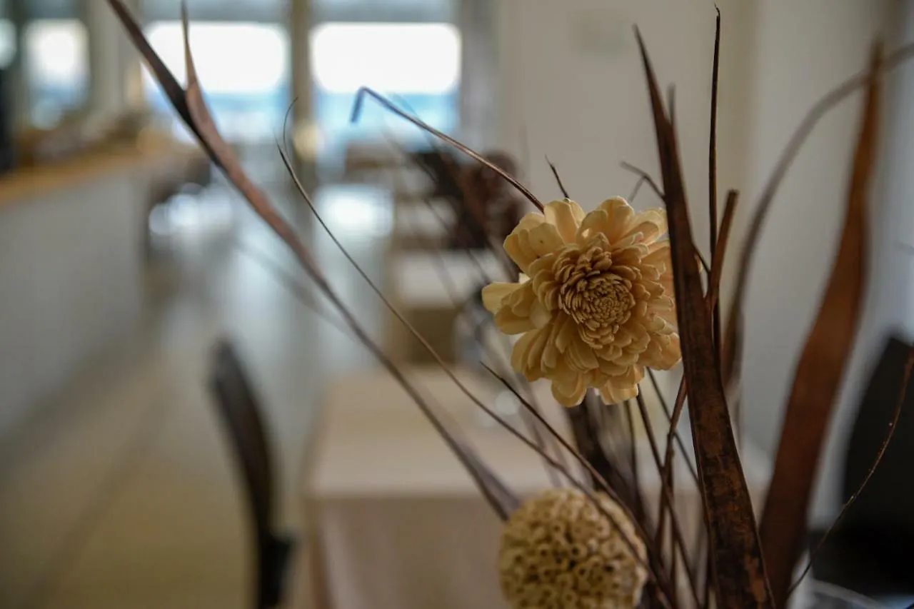 ****  Baldinini Hotel Rimini Italy